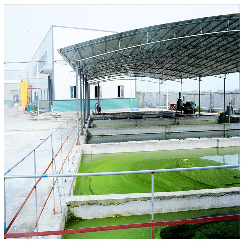 Industry Grade Ammonium Polyphosphate